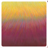 See Me! Feel Me! Heal Me! - Coaster